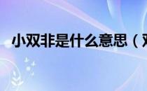 小双非是什么意思（双非家庭是什么意思）