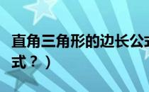 直角三角形的边长公式（直角三角形的边长公式？）
