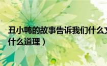 丑小鸭的故事告诉我们什么文字版（丑小鸭的故事告诉我们什么道理）