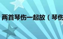 两首琴伤一起放（琴伤双放版是什么意思？）