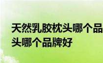 天然乳胶枕头哪个品牌好一点的 天然乳胶枕头哪个品牌好