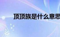 顶顶族是什么意思（什么是顶顶族）