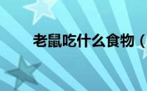 老鼠吃什么食物（老鼠吃什么食物）
