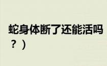 蛇身体断了还能活吗（世界哪种蛇能断后复活？）