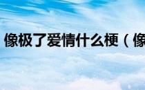 像极了爱情什么梗（像极了爱情表示什么梗）