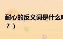 耐心的反义词是什么呢（耐心的反义词是什么？）