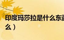 印度玛莎拉是什么东西（印度玛莎拉指的是什么）