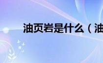 油页岩是什么（油页岩是什么东西）