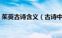 茱萸古诗含义（古诗中的茱萸是什么意思？）