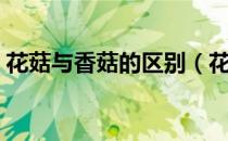 花菇与香菇的区别（花菇和香菇有什么区别）