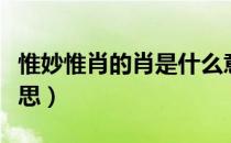 惟妙惟肖的肖是什么意思（惟妙惟肖的肖的意思）