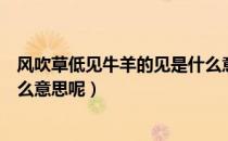 风吹草低见牛羊的见是什么意思（风吹草低见牛羊的见是什么意思呢）