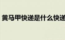 黄马甲快递是什么快递啊（黄马甲快递是啥）