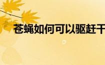 苍蝇如何可以驱赶干净（怎么驱赶苍蝇）