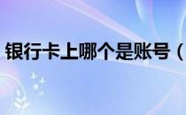 银行卡上哪个是账号（银行卡的账号是什么）