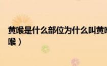 黄喉是什么部位为什么叫黄喉（什么部位是黄喉为什么叫黄喉）