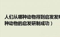 人们从哪种动物得到启发发明了防毒面具（防毒面具受到哪种动物的启发研制成功）