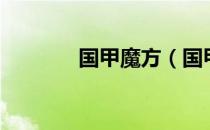 国甲魔方（国甲魔方哪个好）
