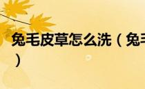兔毛皮草怎么洗（兔毛皮草的清洗和保养方法）