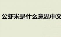 公虾米是什么意思中文（公虾米是什么意思）