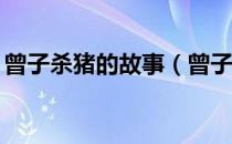 曾子杀猪的故事（曾子杀猪的故事50字概括）