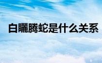 白矖腾蛇是什么关系（白矖腾蛇的故事？）