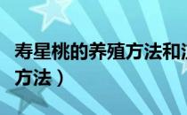 寿星桃的养殖方法和注意事项（寿星桃的养殖方法）