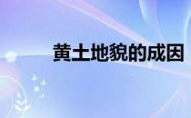 黄土地貌的成因（黄土地貌特点）