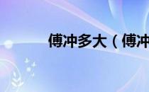 傅冲多大（傅冲年龄有多大？）