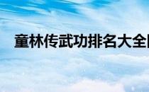 童林传武功排名大全图谱 童林传武功排名