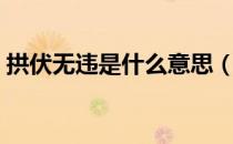 拱伏无违是什么意思（拱伏无违是什么含义）