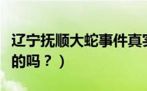 辽宁抚顺大蛇事件真实吗（辽宁大蛇事件是真的吗？）