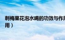 刺梅果花泡水喝的功效与作用（刺梅果花泡水喝的功效与作用）