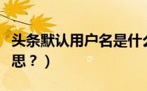 头条默认用户名是什么意思（用户名是什么意思？）