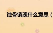 蚀骨销魂什么意思（销魂是什么意思？）