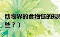 动物界的食物链的规律（动物界的食物链有哪些？）
