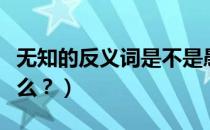 无知的反义词是不是愚昧（无知的反义词是什么？）