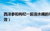 西洋参和枸杞一起泡水喝的功效（西洋参和枸杞泡水喝的功效）