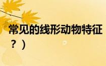 常见的线形动物特征（常见的线形动物有哪些？）
