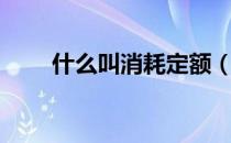 什么叫消耗定额（什么是消耗定额）