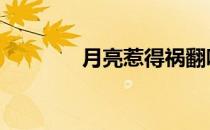 月亮惹得祸翻唱 月亮惹得祸