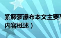紫藤萝瀑布本文主要写了什么内容（藤萝瀑布内容概述）