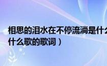 相思的泪水在不停流淌是什么歌（相思的泪水在不停流淌是什么歌的歌词）