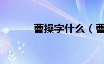 曹操字什么（曹操小名是什么）