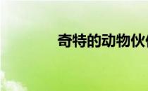 奇特的动物伙伴 奇特的动物