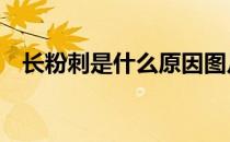 长粉刺是什么原因图片 长粉刺是什么原因