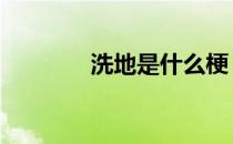 洗地是什么梗 洗地是什么梗