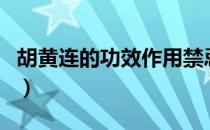 胡黄连的功效作用禁忌（胡黄连的功效与作用）