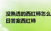 没熟透的西红柿怎么储存比较好 蚂蚁庄园今日答案西红柿