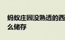 蚂蚁庄园没熟透的西红柿 没熟透的西红柿怎么储存